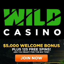 Wild Casino